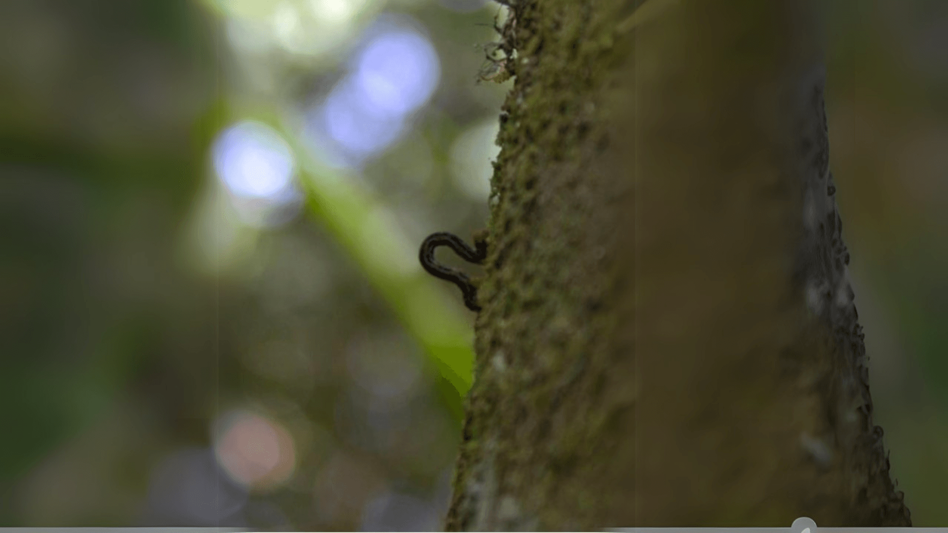 Biodiversity Image 8